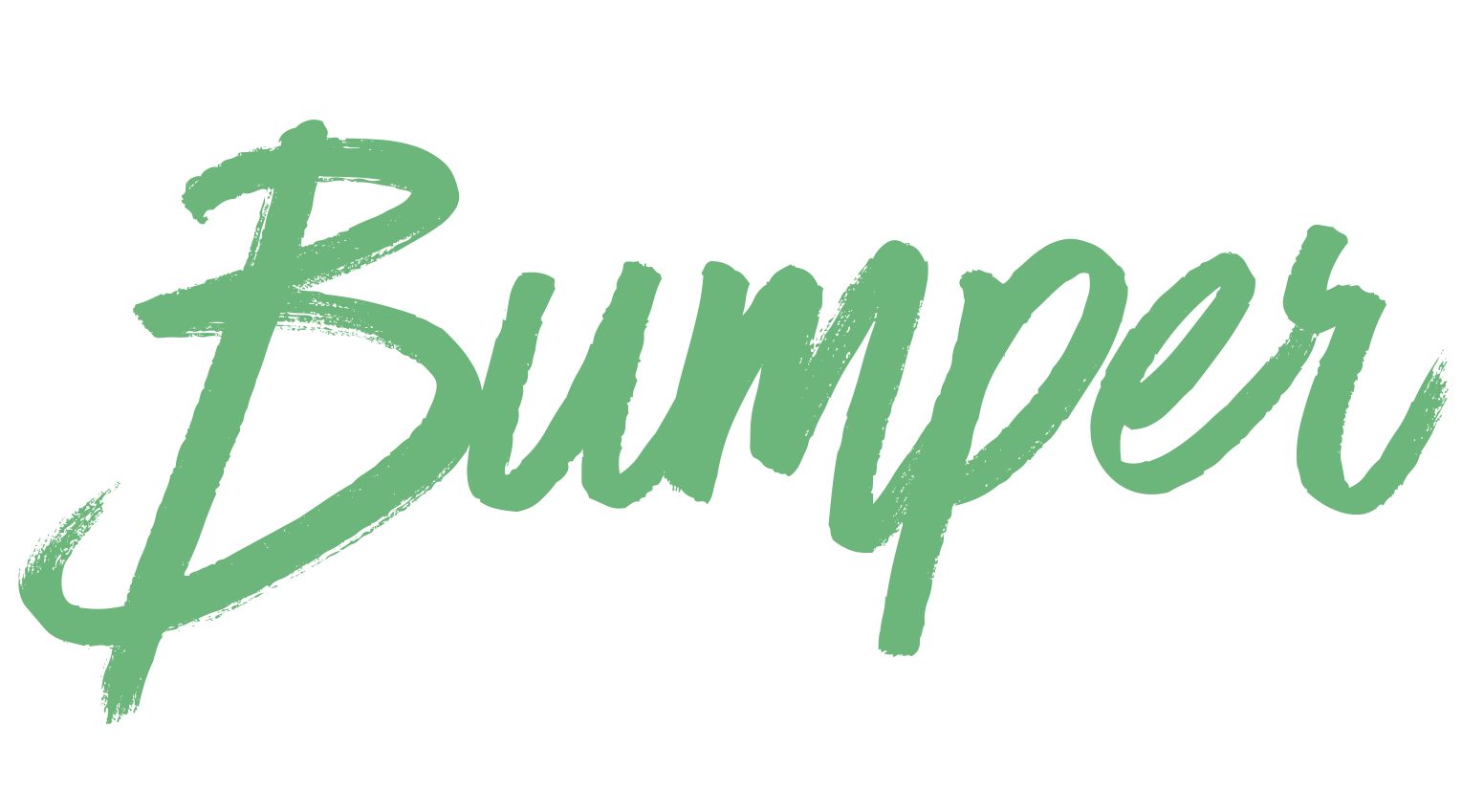 Bumper